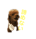 シュンあい応援歌2（個別スタンプ：16）