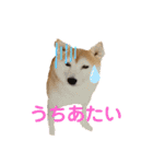 シュンあい応援歌2（個別スタンプ：22）