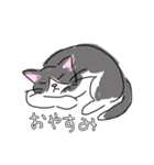 ぼく、ハチワレねこちゃん（個別スタンプ：2）