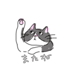 ぼく、ハチワレねこちゃん（個別スタンプ：4）