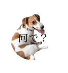 JRT★こはる1（個別スタンプ：1）