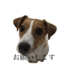 JRT★こはる1（個別スタンプ：2）