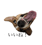 JRT★こはる1（個別スタンプ：3）