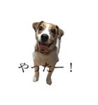 JRT★こはる1（個別スタンプ：5）