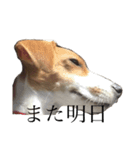 JRT★こはる1（個別スタンプ：6）