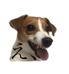 JRT★こはる1（個別スタンプ：7）