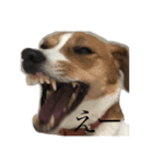 JRT★こはる1（個別スタンプ：8）