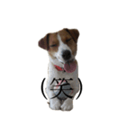 JRT★こはる1（個別スタンプ：9）