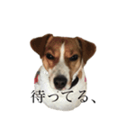 JRT★こはる1（個別スタンプ：10）