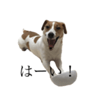 JRT★こはる1（個別スタンプ：11）