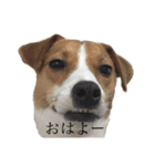 JRT★こはる1（個別スタンプ：12）