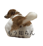 JRT★こはる1（個別スタンプ：16）