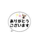 柴犬のぼちゃん デカ文字吹出し①（個別スタンプ：10）