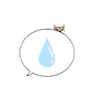 柴犬のぼちゃん デカ文字吹出し①（個別スタンプ：15）