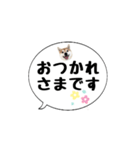 柴犬のぼちゃん デカ文字吹出し①（個別スタンプ：23）