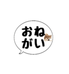 柴犬のぼちゃん デカ文字吹出し①（個別スタンプ：25）