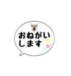 柴犬のぼちゃん デカ文字吹出し①（個別スタンプ：26）