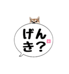 柴犬のぼちゃん デカ文字吹出し①（個別スタンプ：35）