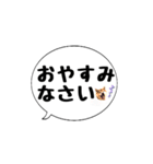 柴犬のぼちゃん デカ文字吹出し①（個別スタンプ：37）