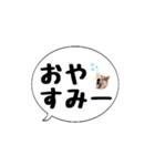 柴犬のぼちゃん デカ文字吹出し①（個別スタンプ：38）