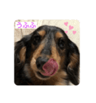 ぴょんスタンプ5（個別スタンプ：9）