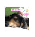 ぴょんスタンプ5（個別スタンプ：11）