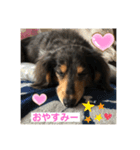 ぴょんスタンプ5（個別スタンプ：12）