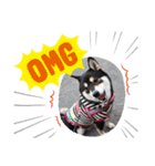 Momotamp1（個別スタンプ：1）