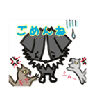羊は追わない ボーダーコリーのボリー2（個別スタンプ：3）
