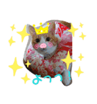 ロビンと虎太郎と虎珀②（個別スタンプ：23）
