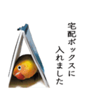 鳥＆猫スタンプ第2弾 ほっこり日常会話（個別スタンプ：36）