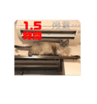 テオ＆サダヲ 第4弾（個別スタンプ：2）