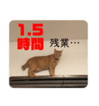 テオ＆サダヲ 第4弾（個別スタンプ：5）