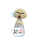 私のわんちゃんスタンプ（個別スタンプ：3）
