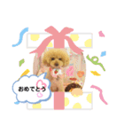 私のわんちゃんスタンプ（個別スタンプ：8）