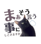 黒猫 KEYちゃん5（個別スタンプ：1）