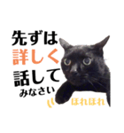 黒猫 KEYちゃん5（個別スタンプ：2）