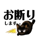黒猫 KEYちゃん5（個別スタンプ：3）