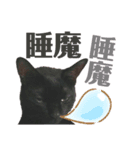 黒猫 KEYちゃん5（個別スタンプ：4）