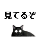 黒猫 KEYちゃん5（個別スタンプ：5）