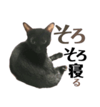 黒猫 KEYちゃん5（個別スタンプ：9）