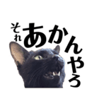 黒猫 KEYちゃん5（個別スタンプ：12）