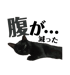黒猫 KEYちゃん5（個別スタンプ：14）