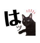 黒猫 KEYちゃん5（個別スタンプ：15）