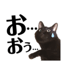 黒猫 KEYちゃん5（個別スタンプ：16）