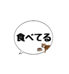柴犬のぼちゃん デカ文字吹出し②（個別スタンプ：10）
