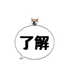 柴犬のぼちゃん デカ文字吹出し②（個別スタンプ：14）