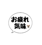 柴犬のぼちゃん デカ文字吹出し②（個別スタンプ：20）