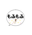 柴犬のぼちゃん デカ文字吹出し②（個別スタンプ：22）