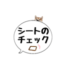 柴犬のぼちゃん デカ文字吹出し②（個別スタンプ：24）